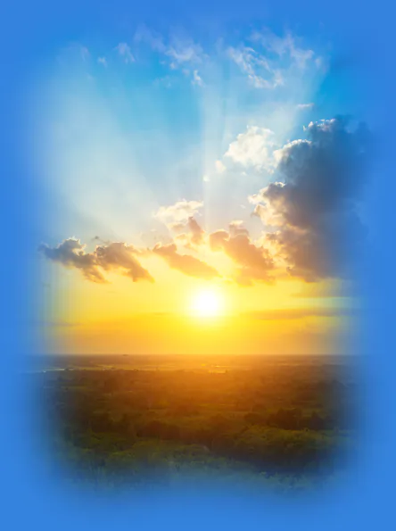 Aerial view of a forest landscape during a rising sun, symbolizing the harmony of colors and visual luxury delivered by Pro-Webdesign.