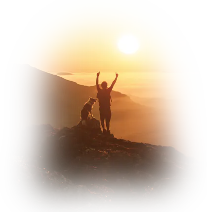 Silhouette of a man and a dog on a mountain peak during sunrise, illustrating the absolute market dominance achieved through impressive and technically sophisticated expert web solutions